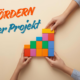 Projektmittel – FIPs